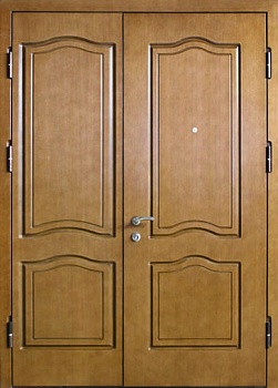 Дверь двустворчатая ДВ-924